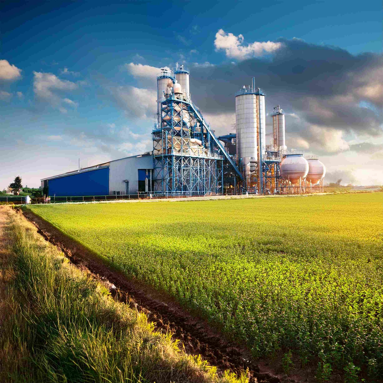 Fertilizer Industry
